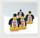 AXIGEN Beta Campaign - Penguins AXIGEN Beta Campaign - Penguins