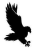 Falconer Technologies